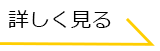 くわしく見るボタン２